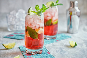 Discover Kombucha: Why This Drink Deserves a Spot in Your Healthy Daily Drink Routine - iGulu