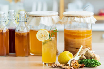 SCOBY Hotel Guide: Long-Term Kombucha SCOBY Storage Made Easy - iGulu