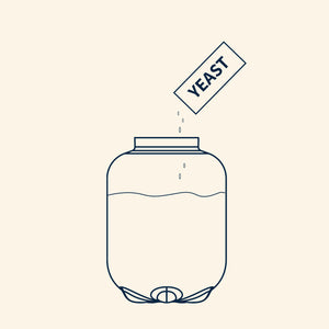 Add Yeast