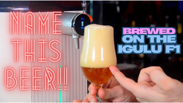 iGulu Brewing Challenge - Brett Pokorny