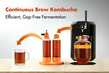 Continuous Brew Kombucha with iGulu: A Smarter, Gap-Free System