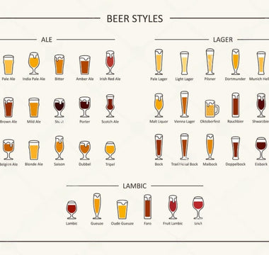 Exploring the World of Beer: A Guide to Popular Styles