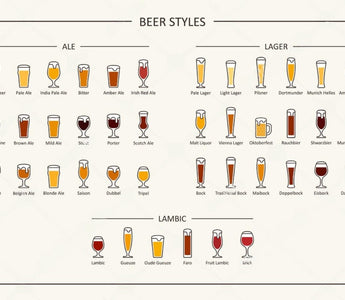 Exploring the World of Beer: A Guide to Popular Styles