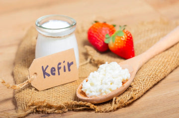 The iGulu Guide to Continuous Bio Kefir Brewing