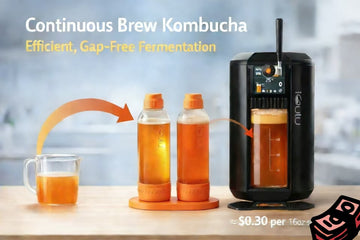 Continuous Brew Kombucha with iGulu: A Smarter, Gap-Free System