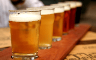 Beer Types for Beginners: A Simple Guide to Popular Beer Styles - iGulu