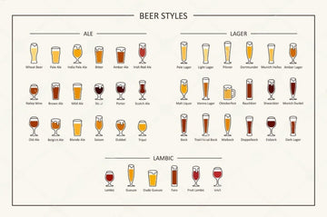 Exploring the World of Beer: A Guide to Popular Styles - iGulu