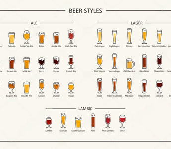 Exploring the World of Beer: A Guide to Popular Styles - iGulu