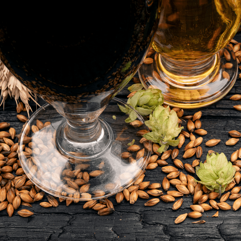 iGulu Master Mode: The Key to Brewing Bold, Experimental Beers - iGulu