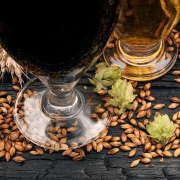 iGulu Master Mode: The Key to Brewing Bold, Experimental Beers - iGulu