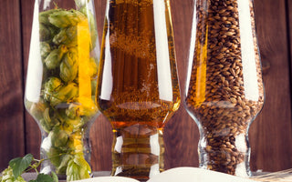 Research and Development of Beer Recipes - iGulu