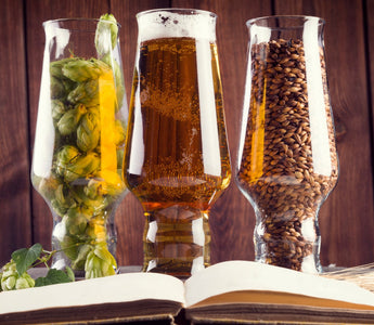 Research and Development of Beer Recipes - iGulu