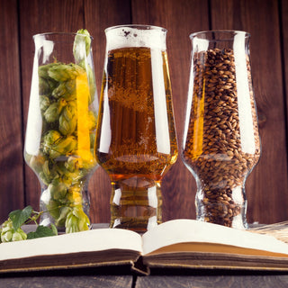 Research and Development of Beer Recipes - iGulu