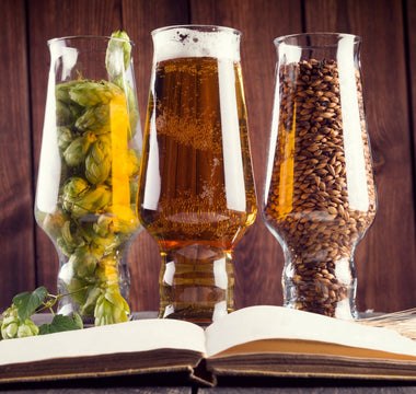 Research and Development of Beer Recipes - iGulu