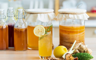 SCOBY Hotel Guide: Long-Term Kombucha SCOBY Storage Made Easy - iGulu