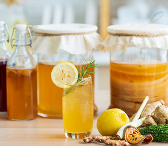SCOBY Hotel Guide: Long-Term Kombucha SCOBY Storage Made Easy - iGulu