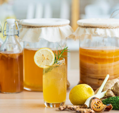 SCOBY Hotel Guide: Long-Term Kombucha SCOBY Storage Made Easy - iGulu