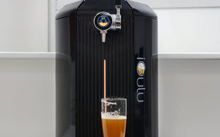 Sip with Confidence: Your Comprehensive Guide to Maintaining the iGulu F1 Home-Brewing Machine - iGulu