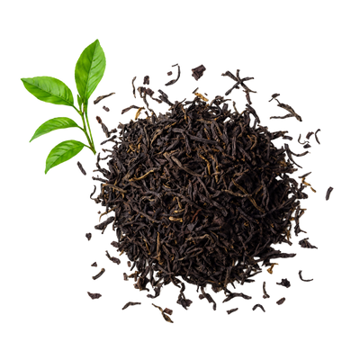 Ancient-Tree Black Tea