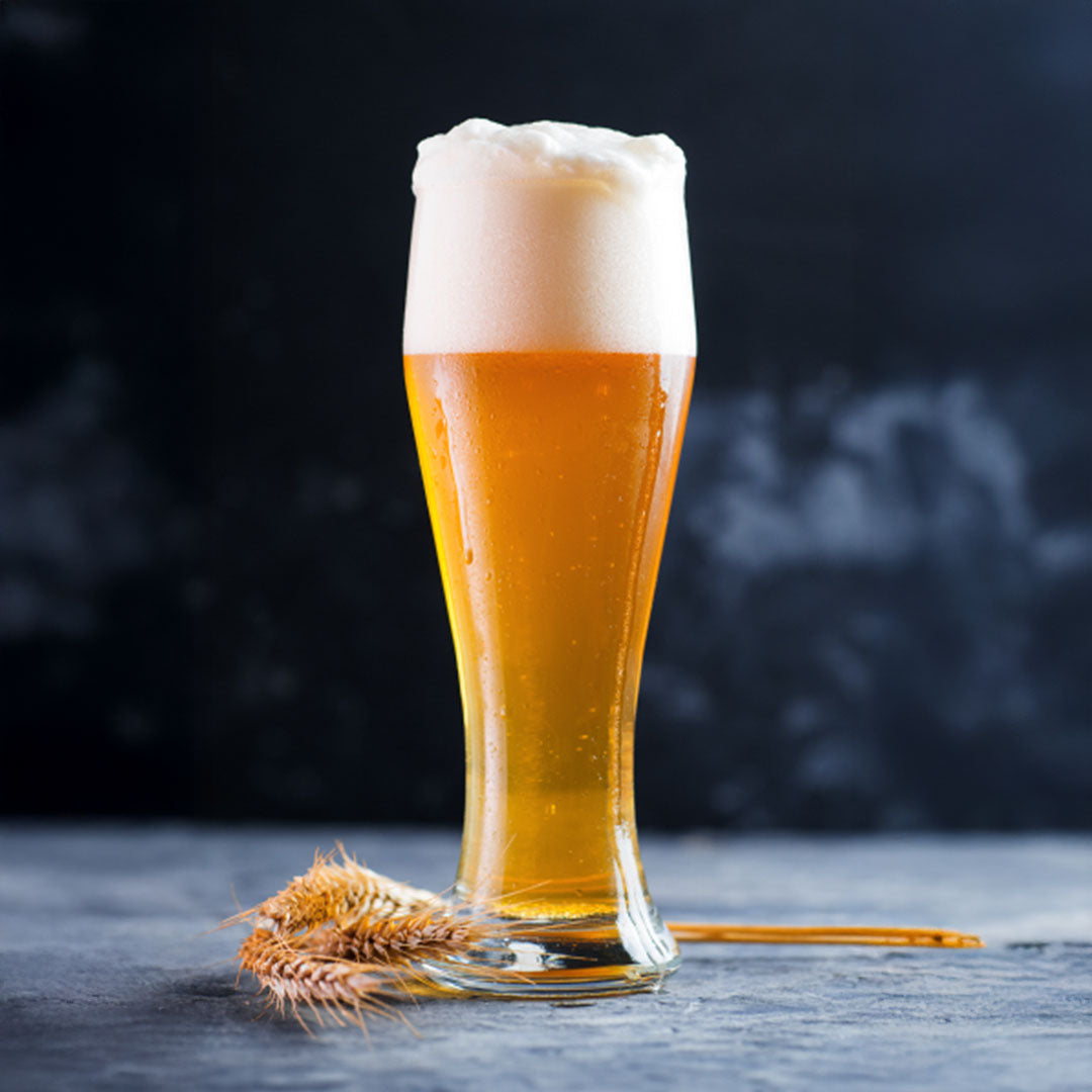 iGulu German Helles Beer Brewing Ingredient Kit - iGulu