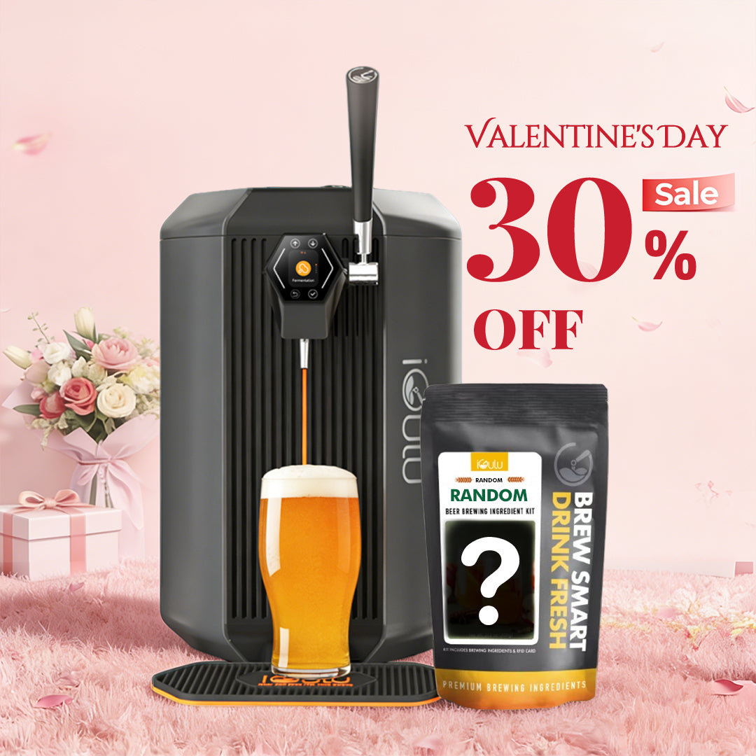 iGulu S1 Valentine's Day Starter Home Brewer Smart Bundle