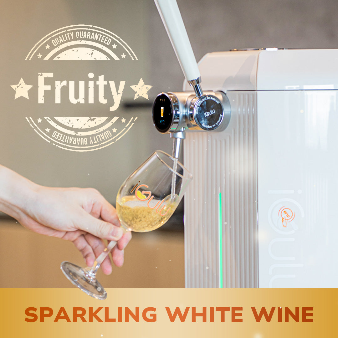 iGulu Sparkling White Wine Brewing Ingredient Kit