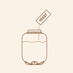 Add Yeast