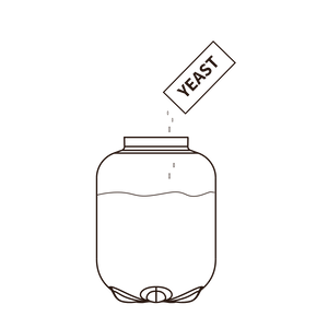 Add Yeast