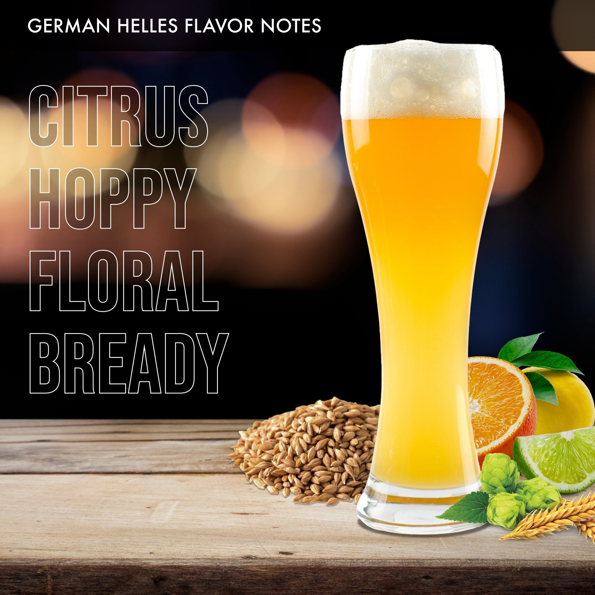 German Helles Beer Brewing Ingredient Kit - iGulu