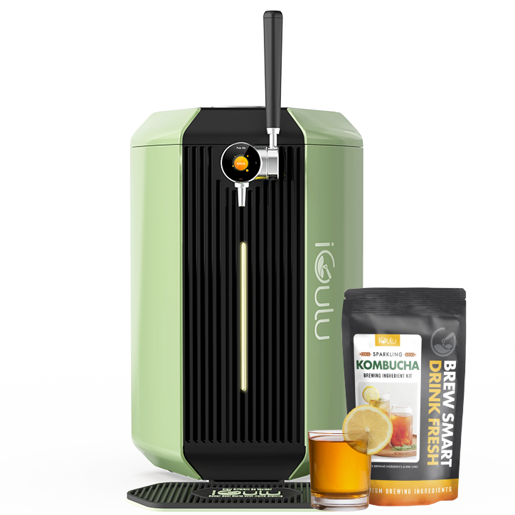 iGulu F1 Kombucha Brewer Bundle