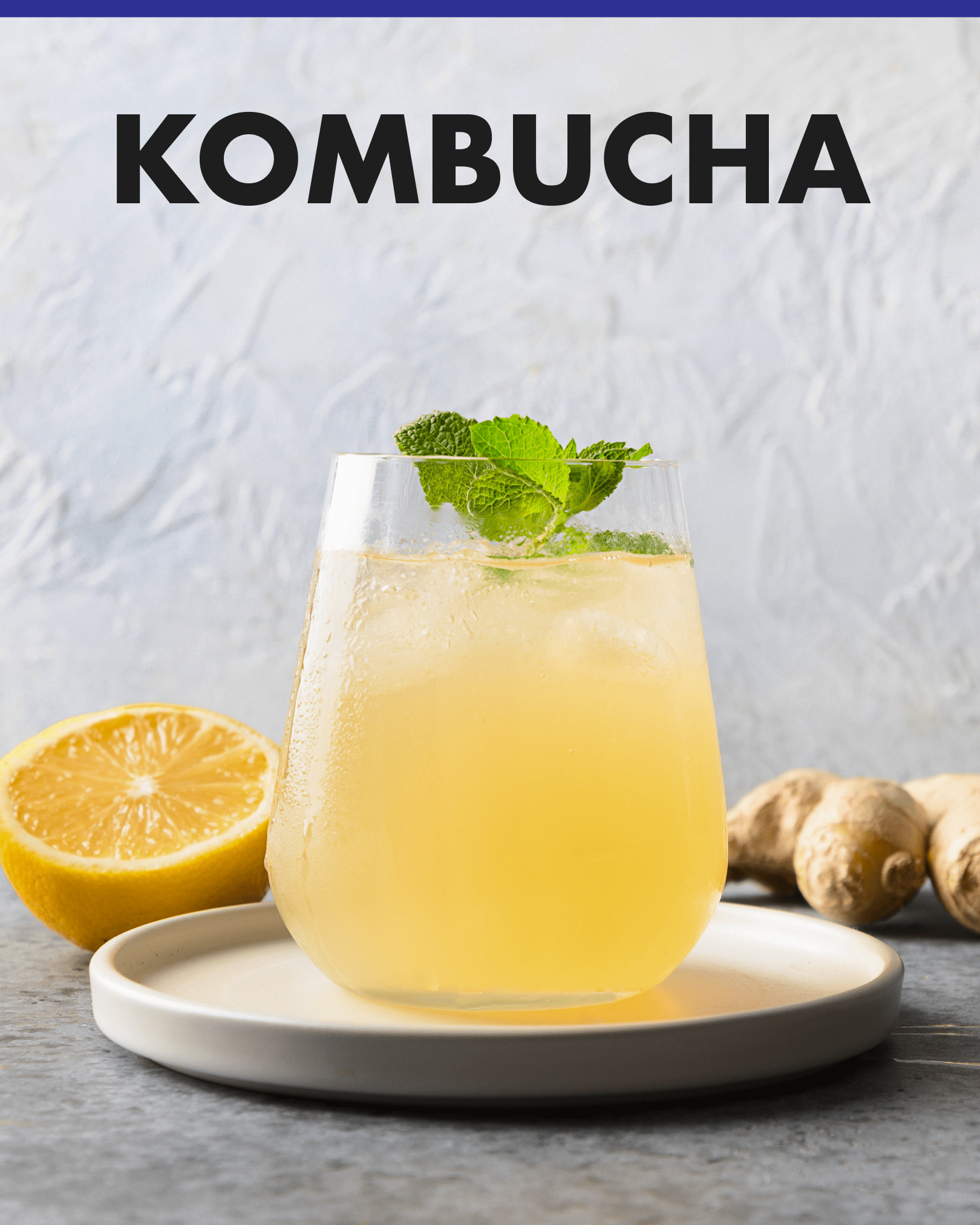iGulu F1 Kombucha Brewer and Brew Kit Bundle - iGulu