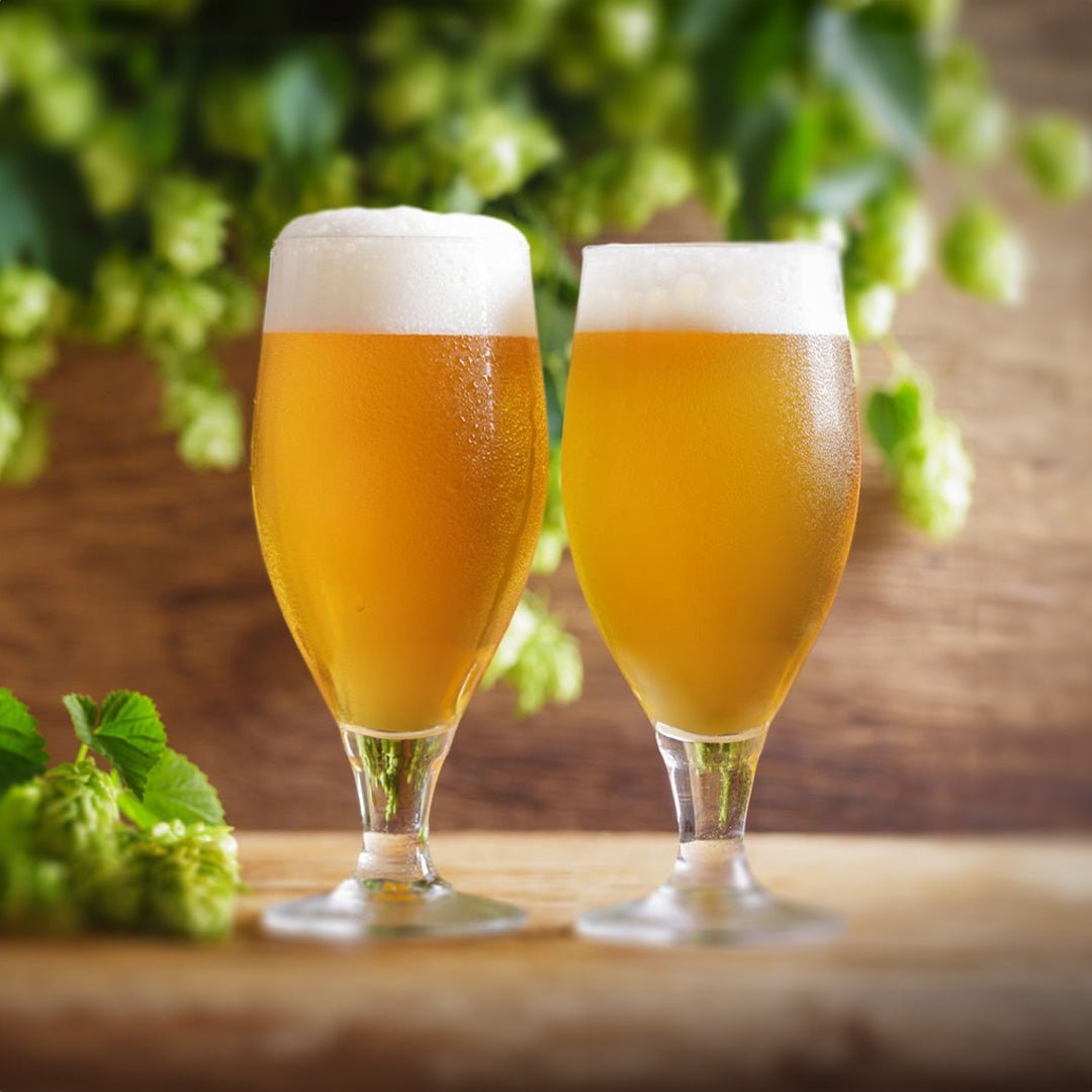 iGulu German Pilsner Beer Brewing Ingredient Kit Subscription - iGulu