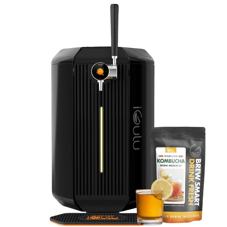 iGulu Home Kombucha Brewer Bundle - iGulu