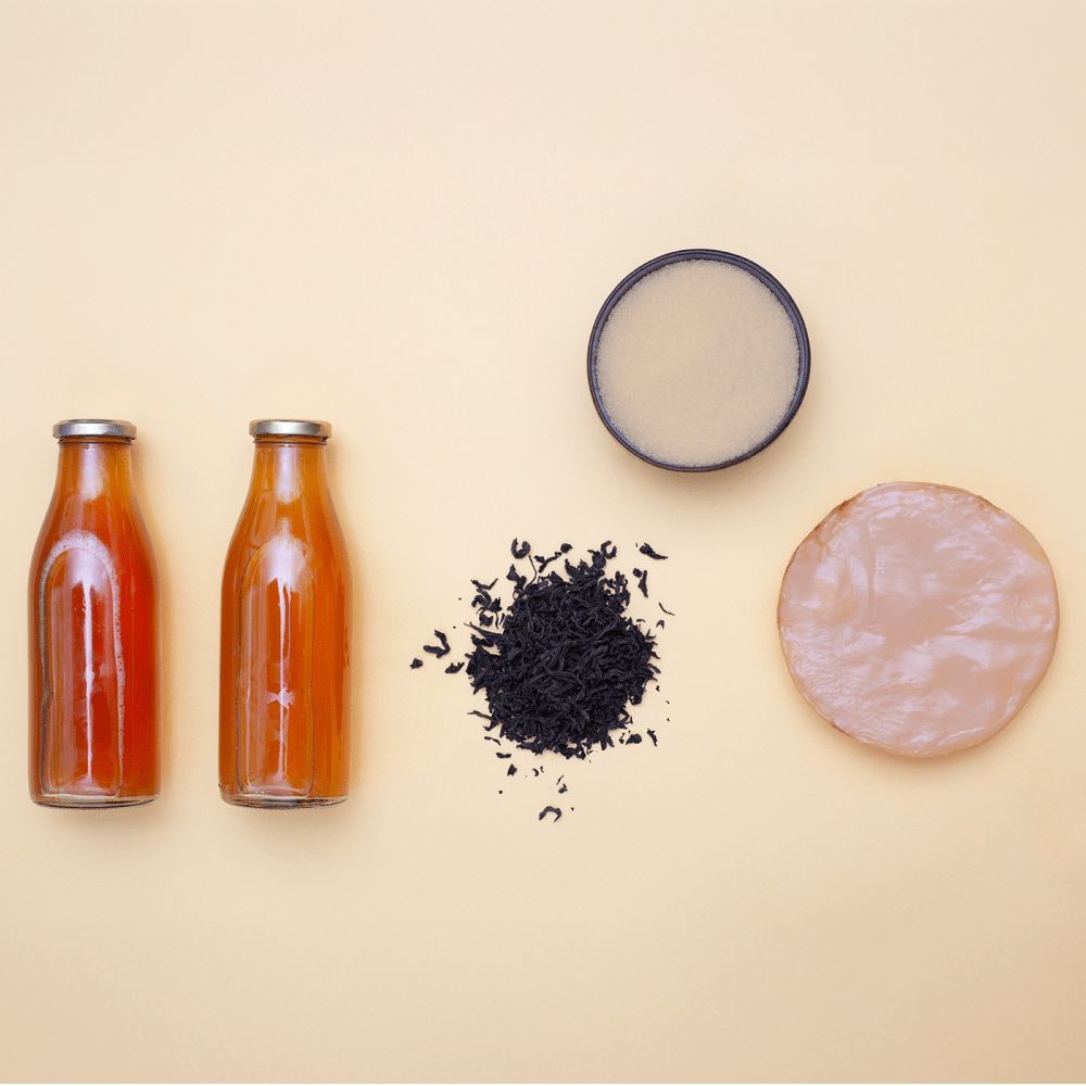 iGulu Home Kombucha Brewer Bundle - iGulu