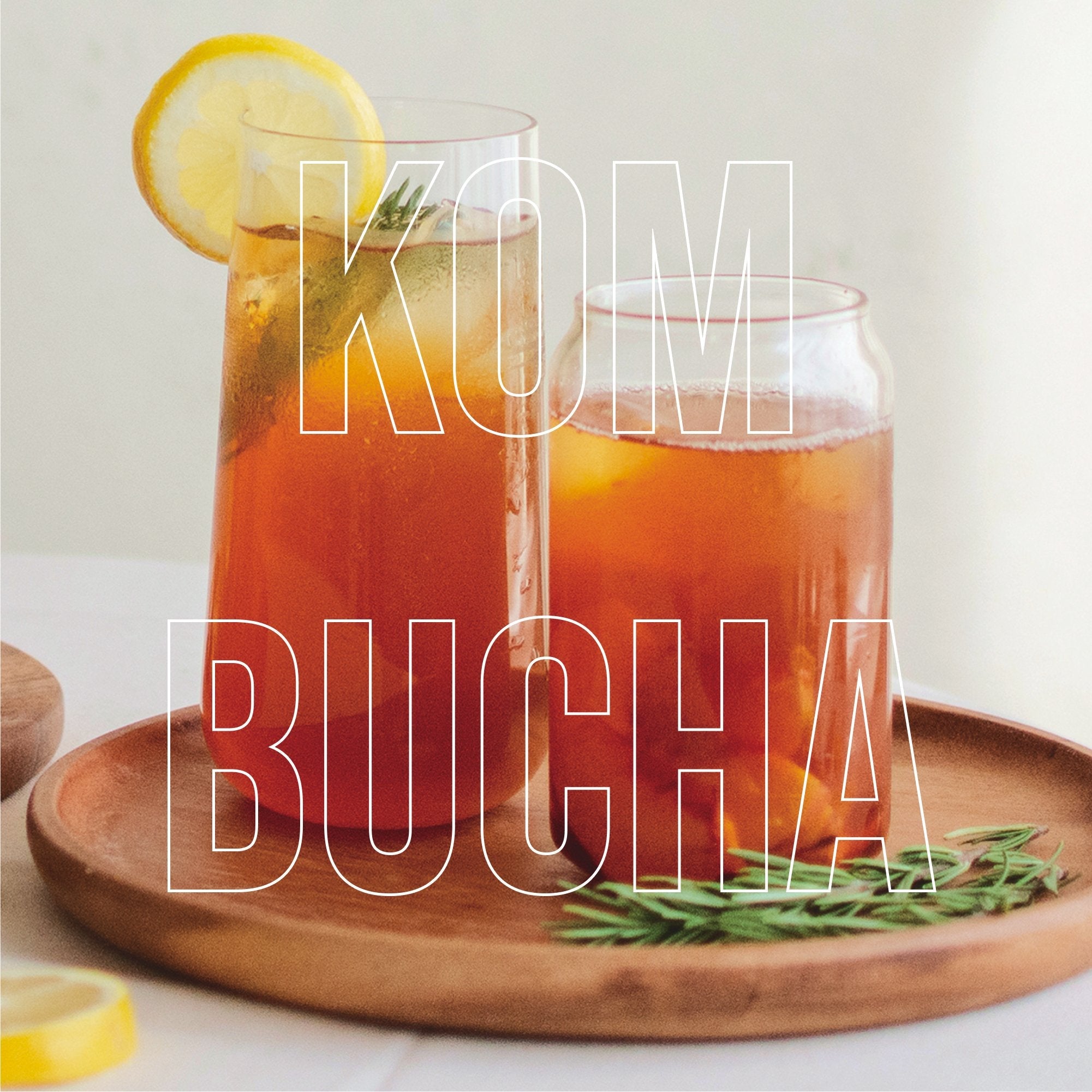 iGulu Home Kombucha Brewer Bundle - iGulu