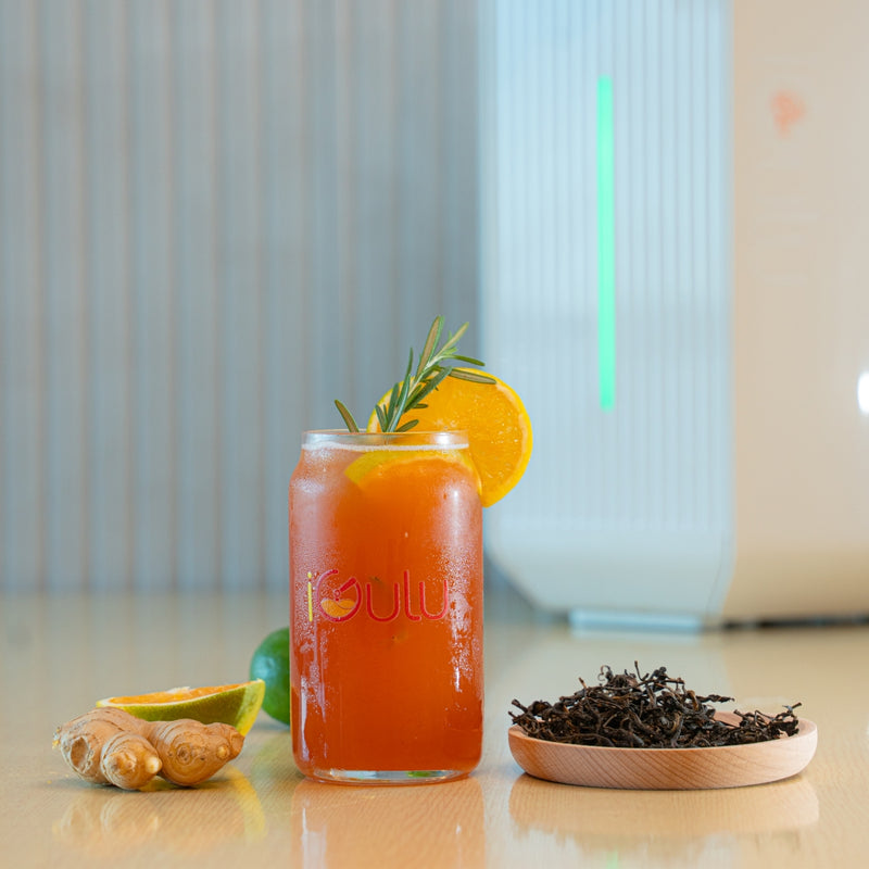 iGulu F1 Kombucha Brewer Bundle