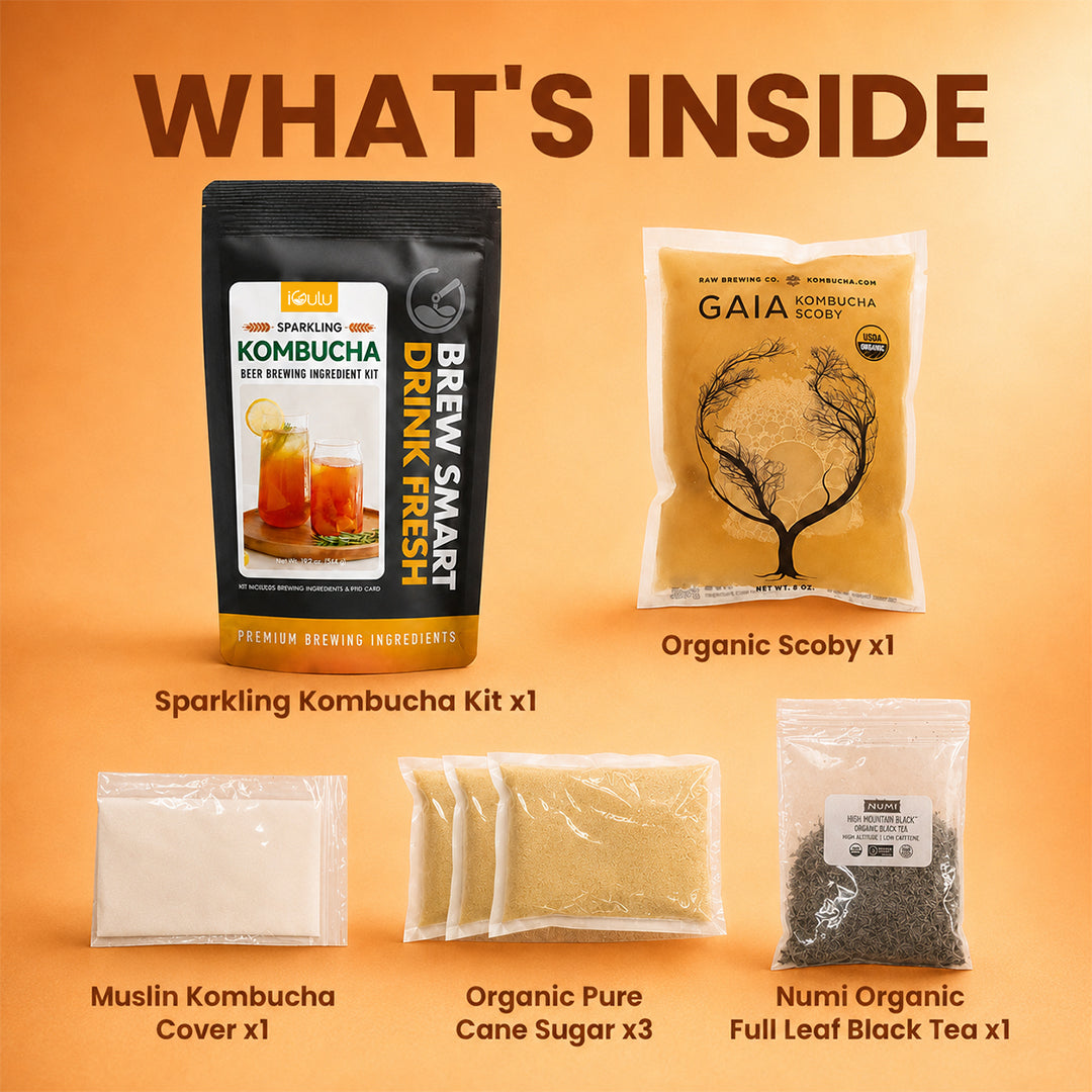 iGulu F1 Kombucha Brewer Bundle