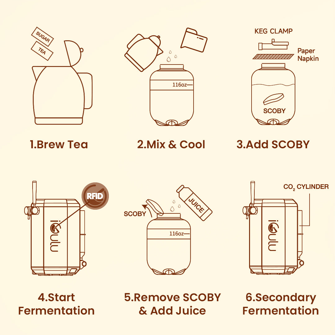 iGulu F1 Kombucha Brewer Bundle