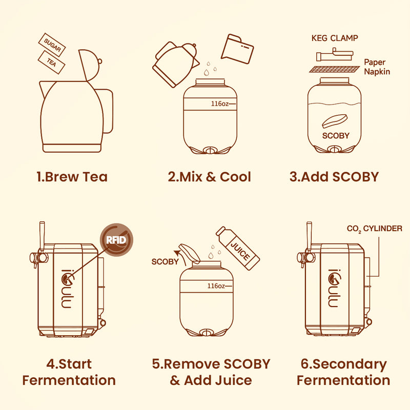 iGulu F1 Kombucha Brewer Bundle