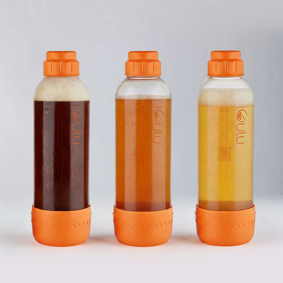iGulu Home Brew Pressure Bottle Set of 2