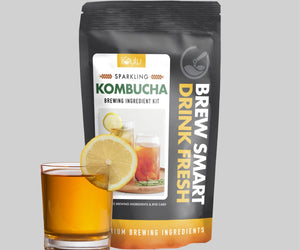 Sparkling Kombucha Brew Kit Subscription - iGulu